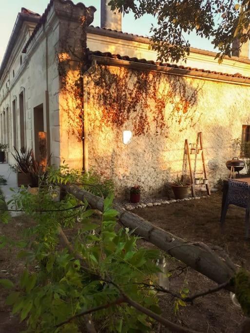Gite A La Ferme Chaleureux Daire Civrac-de-Blaye Dış mekan fotoğraf